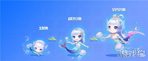 美人鱼宠物技能解析效果如何及使用方法全攻略