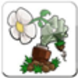 植物大战僵尸魔幻版