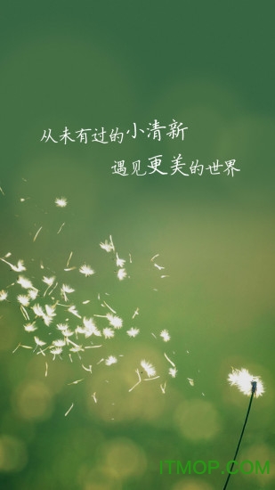 QQ影像手机客户端