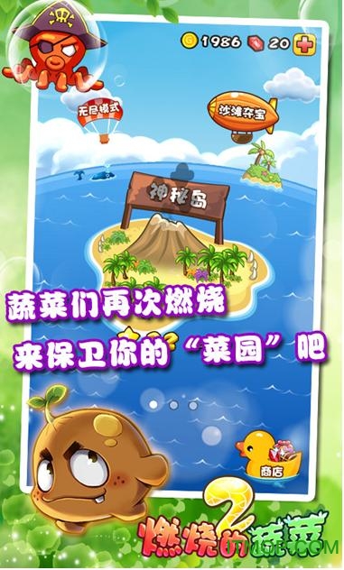 燃烧的蔬菜2无限钻石版