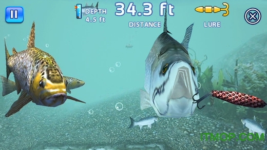 垂钓之王fishing kings无限金钱存档