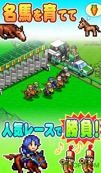 顶级跑马牧场999修改