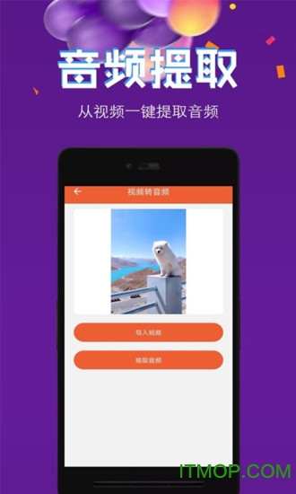 音频提取格式转换VlP破解版