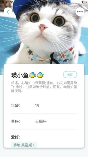 啵乐官方正版免费