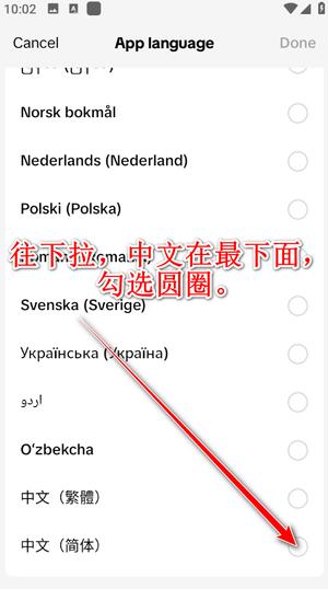 国外版抖音tiktok