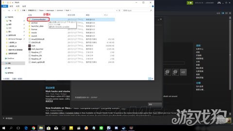 仁王PC版游戏无法启动的原因分析与分辨率修改方法详解