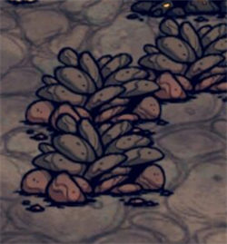 饥荒海滩石头物资介绍萌新必备攻略