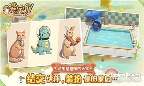 猫宅97手游快速升级技巧，轻松提升等级攻略