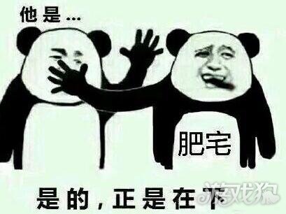 DNF死肥宅表情包背后事件始末全面解析