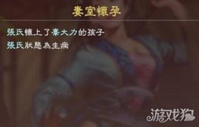 三国志13威力加强版中如何结婚生子？详细方法揭秘