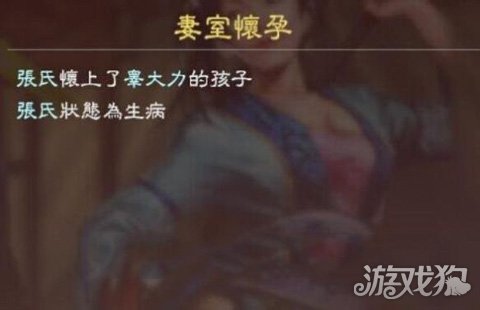 三国志13威力加强版中如何结婚生子？详细方法揭秘