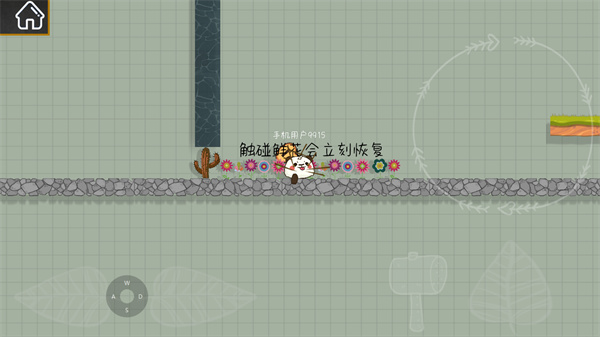 森林小会