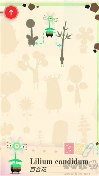 托卡实验室植物