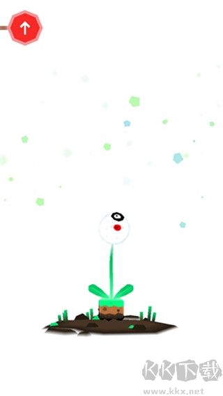 托卡实验室植物