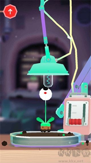 托卡实验室植物