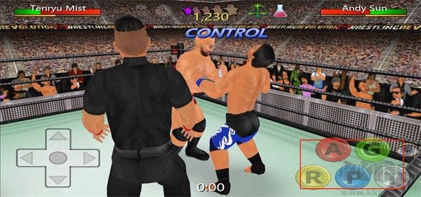 摔跤革命3d(Wrestling Revolution 3D)