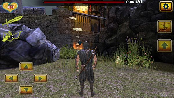 忍者武士刺客英雄