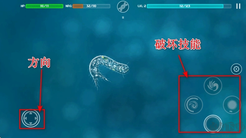 细胞起源