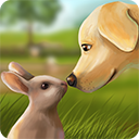宠物世界3D我的动物救援(My Animal Shelter)