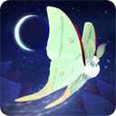 彩翼之星夜(com.runawayplay.starlight.Application)