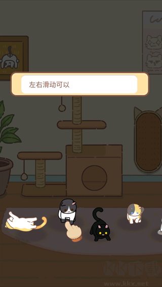 领养一只流浪猫