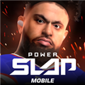 扇耳光大赛(Power Slap)