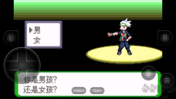 口袋妖怪空之花神内置菜单版