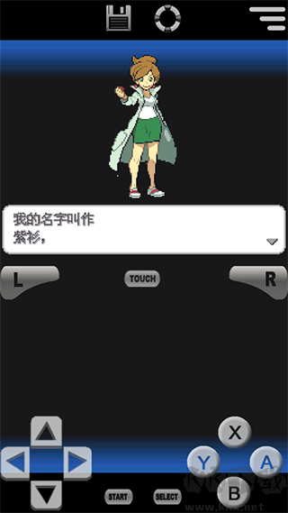 口袋妖怪黑白2官方正版