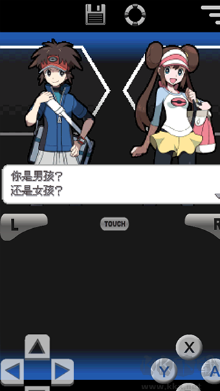 口袋妖怪黑白2官方正版