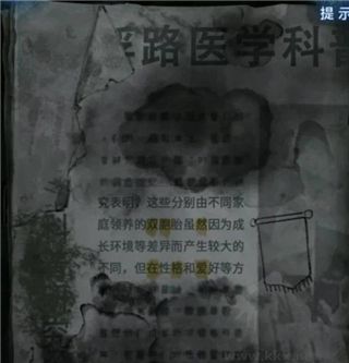 纸嫁衣8千子树九游版