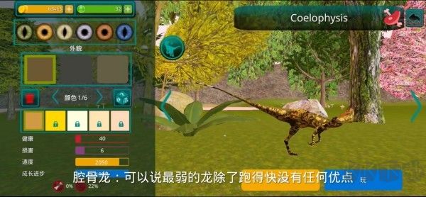 诅咒之岛免广告版