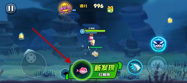 鱼吃鱼