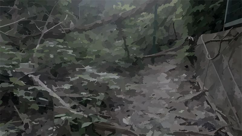 戏假成真