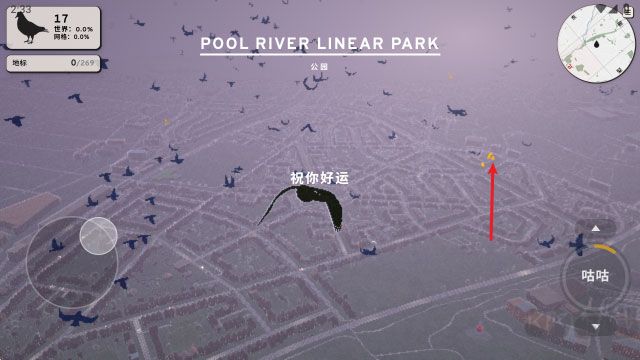 鸽子一段爱情故事