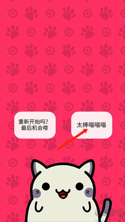 小偷猫最新版