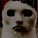 猫猫惊魂手机版