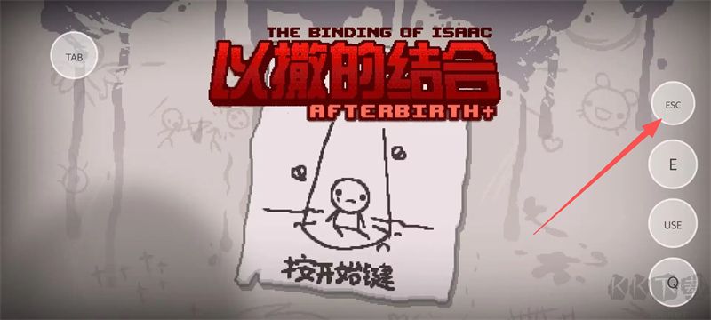 以撒的结合胎衣