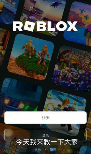 罗布乐思中文版
