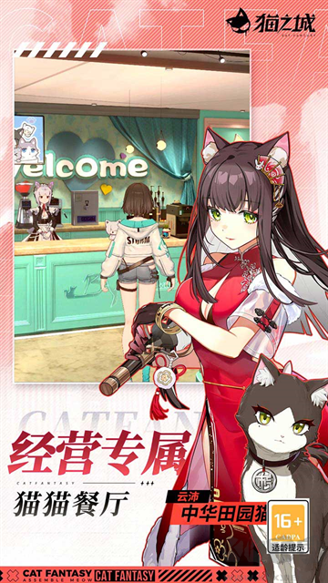 猫之城官方版