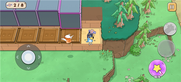 布鲁伊寻找金笔的冒险