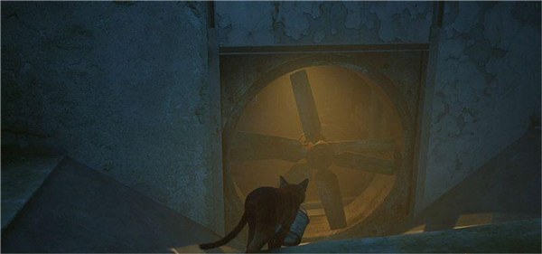 迷失stray