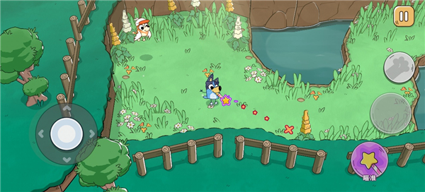 布鲁伊寻找金笔的冒险