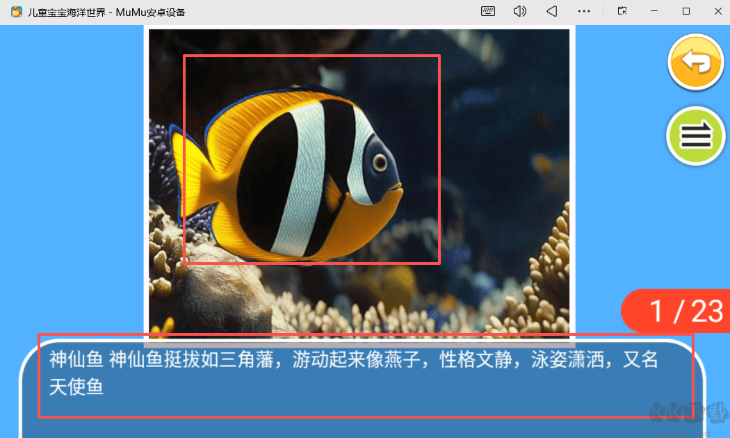 儿童宝宝海洋世界