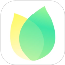 飞火动态壁纸app免费版