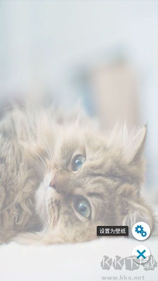 铃声壁纸大全免费版