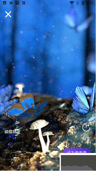 手机彩铃最新版