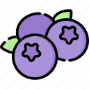 蓝莓音乐app官方版