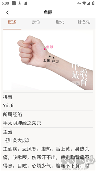 扁鹊中医