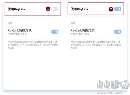 RayLink