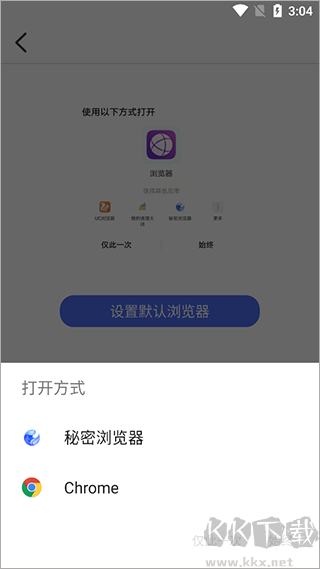 秘密浏览器app安卓版